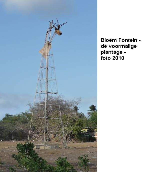30. Bloem Fontein voormalige plantage 2010